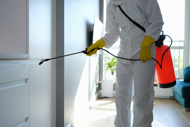 Best Mold Remediation for Healthcare Facilities  in Buckhead Ridge, FL